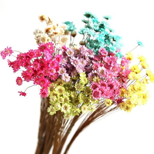 

30pcs/lot natural brazil daisy dried flower vial glass bottle decorative filler materials decoration accessories wed2532