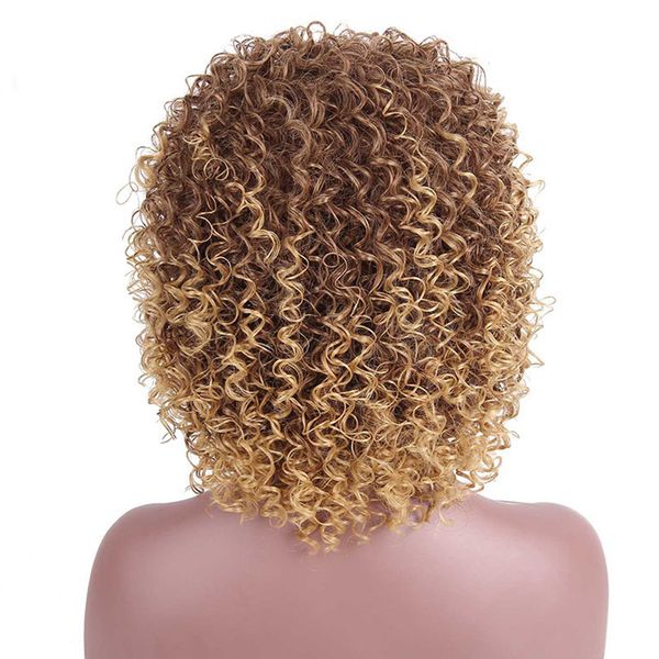 For Black Women European American Mixed Brown Short Afro Kinky Lace Front Fashion Fluffy Human Hair Curly Wig Party Extensions Hairstyle Donut Bun
