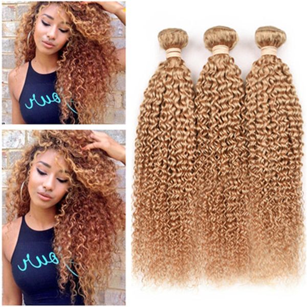 Kinky Curly Honey Blonde Virgin Brazilian Human Hair Wefts 27