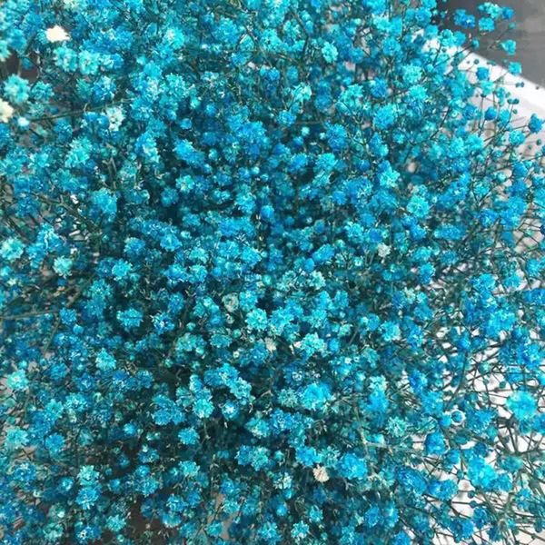 

80g/20-25cm nature fresh preserved babybreath,diy eternell floral flower,party wedding favor home gift box decor,eternelle rose