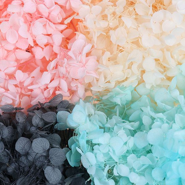

10g/lot natural fresh preserved flowers dried hydrangea flower head for diy real eternal life flowers material high quality