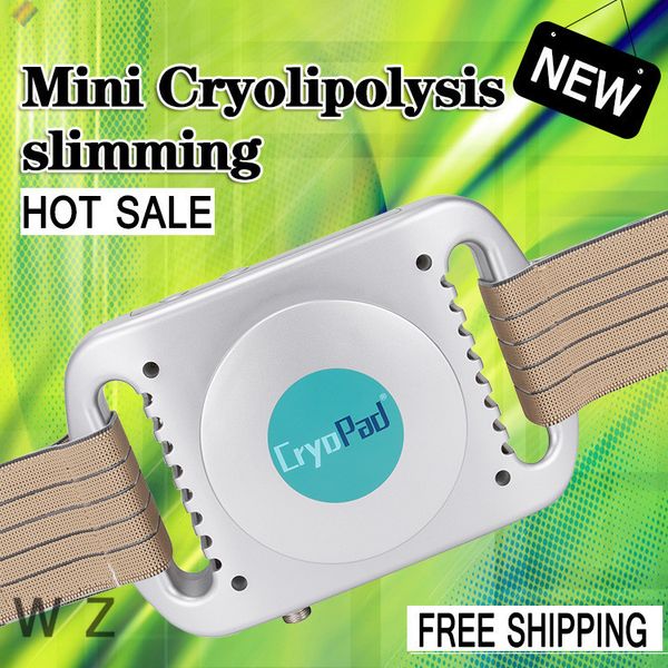 

2018 factory price mini portable home use cryo fat ing machine cryopad liposuction slimming machine dhl ing