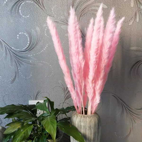 

natural dried pampas grass reed home wedding flower bunch decor