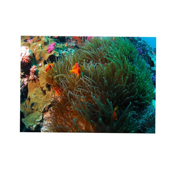 

reptile habitat, terrarium background, 3d coral fish tank wall decoration