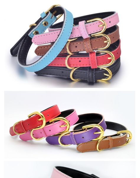 

flat link training chain collars lime koiran kaulapanta collar tags dog accessories flat link website legit bdegarden rkfkl