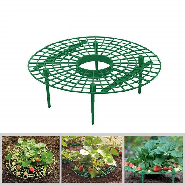 Çilek destekler 4 sağlam bacaklı bahçe malzemeleri ile yer çürümesi bitki desteğini önlemek için meyveyi yükseltmeyi destekler