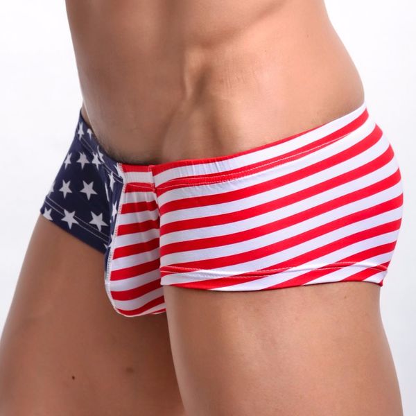

flag striped underwear men's brave briefs shorts bulge pouch comfortable soft underpants ropa interior hombre erotica, Black;white