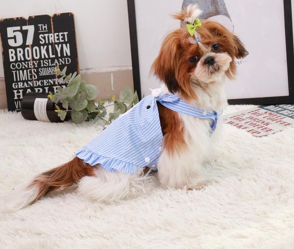 Koreanische Version Hundekleidung Sommerkleid neuer gestreifter Rock Teddy Hundekleidung Haustierkleidung Baumwolle elastische Hosenträgerrock Weste Großhandelspreis