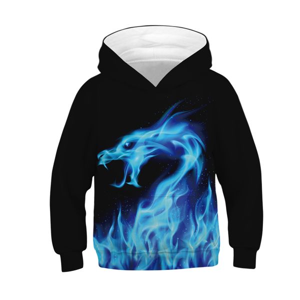

cross border new ice fire dragon 3d digital printing flame children's hooded and hooded sweater. high turnover, Black