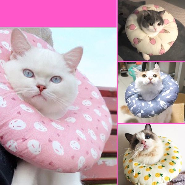 

pet cat воѬоник лопаобђмажнй заинй воановиелнй воѬоник легкий и мг