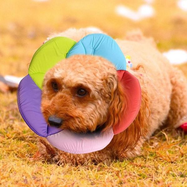 

flower shape pet protected neck recovery cone collar for anti-bite lick surgery wound healing cat dogs health medical circle