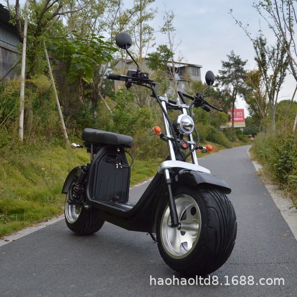 

factory direct sales 1500w electric car two-wheel scooter electric harbin scooter