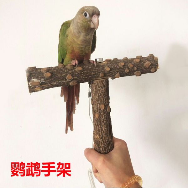

chinese prickly ash wood bird rack hand go out stand frame parrot gripper rod