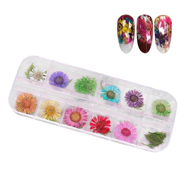 

1 box natural chrysanthemum nail dried flowers 3d nail decoration tattoos for ladies art