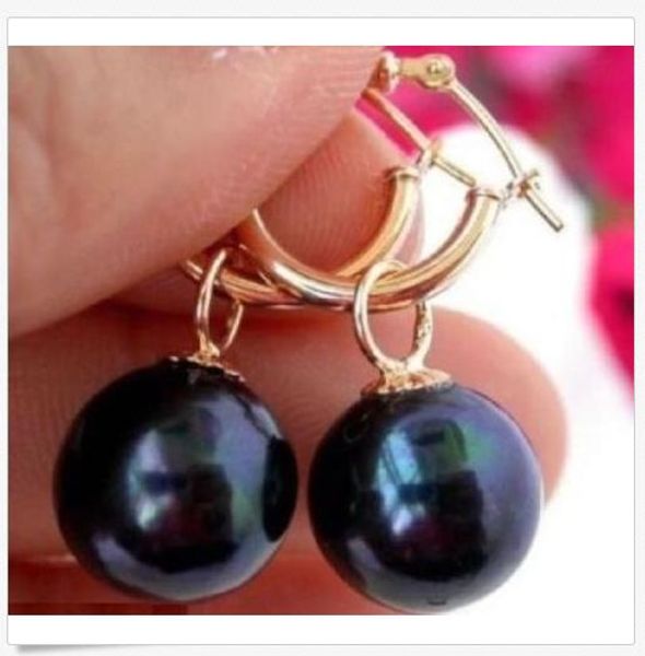 

perfect rond 10-11mm tahitian black pearl earring 14k solid gold, Golden;silver