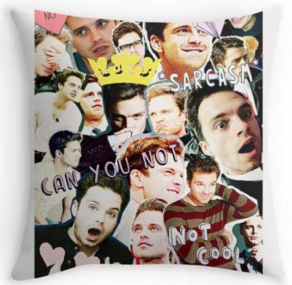 

popular sebastian stan cold collage case cover throw pillowcase soft zippered pillow cover pillow case