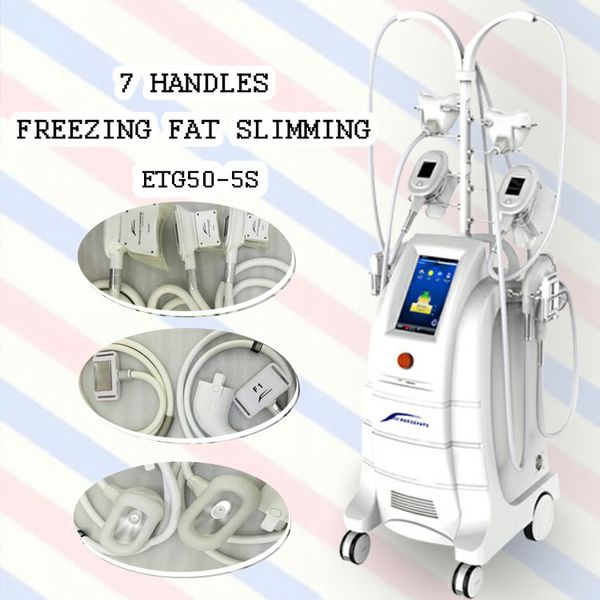

2019 cryo lipo fat ing machine weight loss fat e lysis device ce