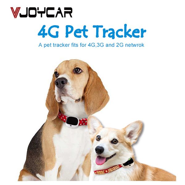 

4g dog gps tracker v43 voice monitor pet gps tracker real time tracking wifi cat locator lte+wcdma+gsm waterpoof ip67 app