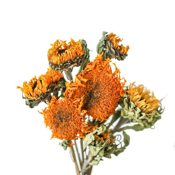 

4pcs dried flowers natural real sunflowers home wedding decor flowers bunch