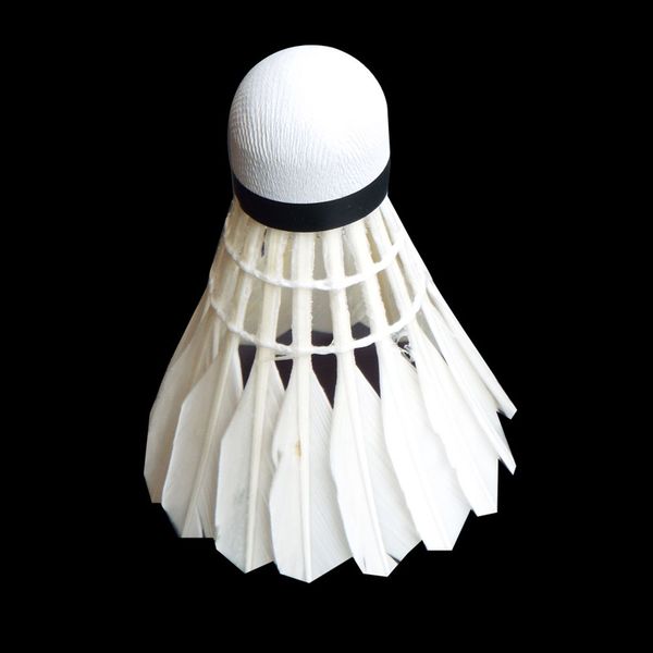 head shuttlecock