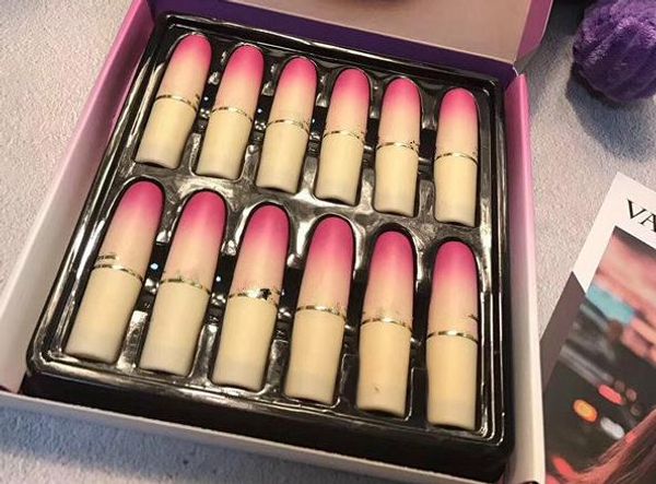 

famous brand new cosmetic sia lipstick pigment 12 colors set lipstick lip set gift for woman lips 12 colors makeup