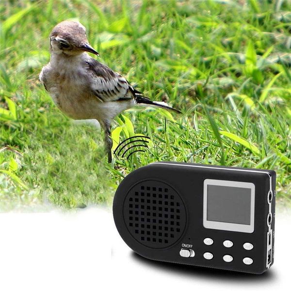 

a + приманка птица caller mp3-плеер bird sound громкоговоритель ес plug