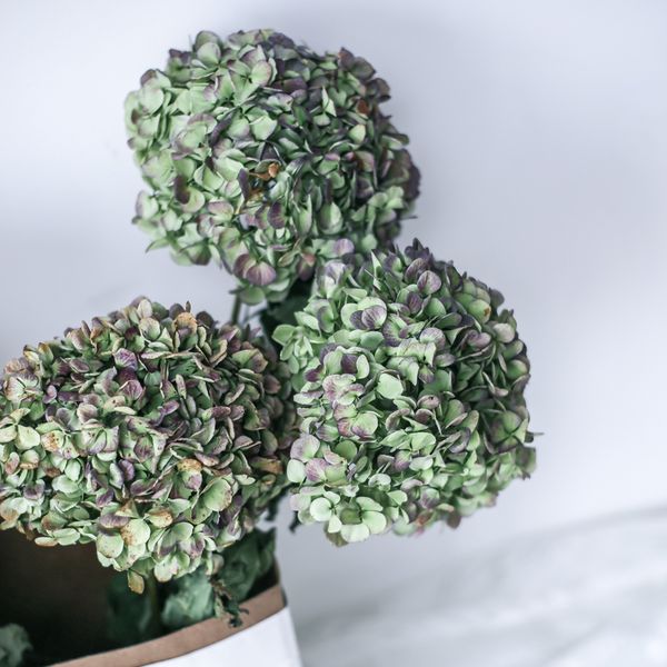 

2 pcs natural fresh preserved flowers dried hydrangea flower head for diy real eternal life flowers material no vase