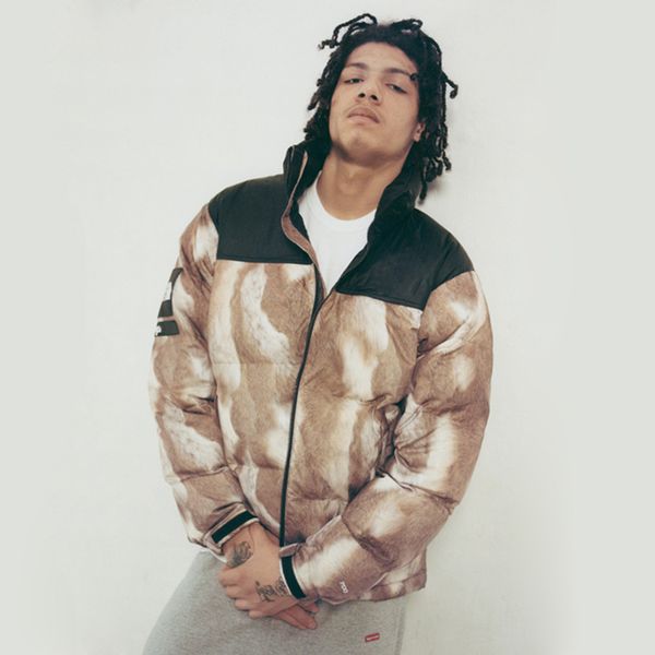 

supreme 13fw коробка логотип пуховик с меховым принтом nuptse пальто пара пальто зимняя верхняя одежда мода s ~  hfyrf001, Black