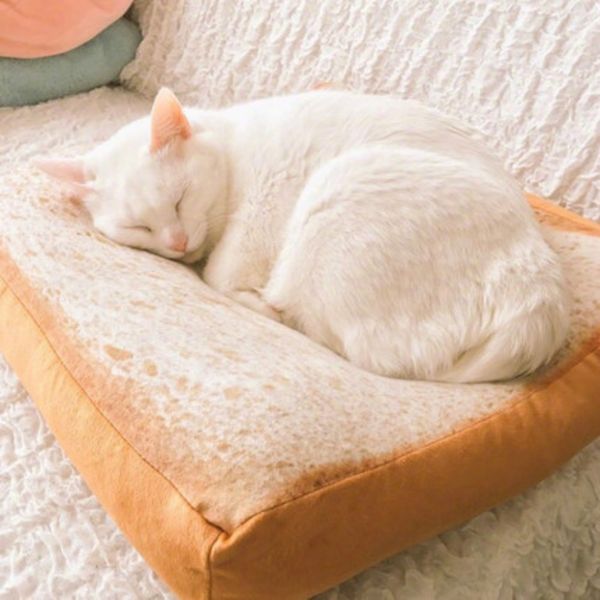 

creative 40*40cm toasted 3d bread pillow plush soft toy bread cat pet cushion sofa seat cushion gift bakery shop decors