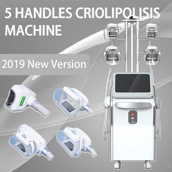 

2020 fat e cryolipolysis machine weight loss vacuum slimming therapy machine slim e fat reduction er machine