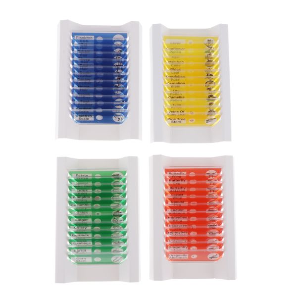 

48pc animal insect plant flower plastic prepared microscope slides 4 colors