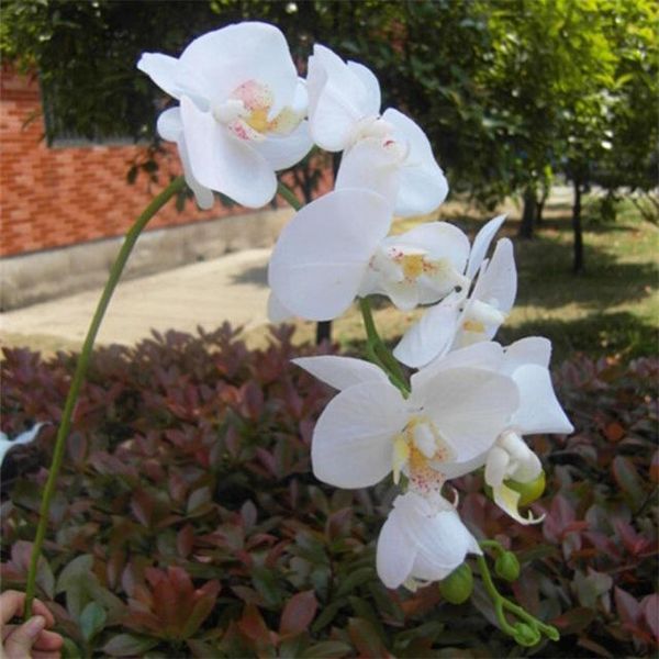 

real touch orchid flower fake green /pink cymbidium latex orchids phalaenopsis for wedding party artificial decorative fake flowers