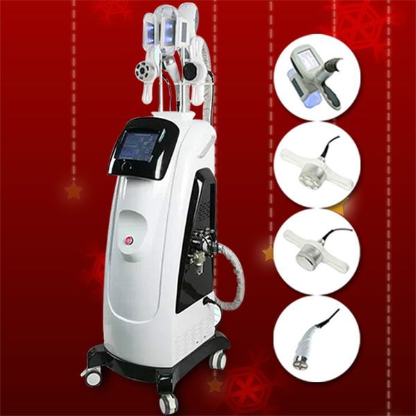 

нове поѬаивне cryolipolysis жиѬа замоѬаживание ђдаѬно-волнова еѬапи маина ђдаѬ