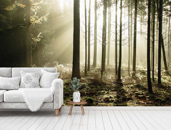 

self-adhesive] 3d foggy forest 6542 wall paper mural wall print decal murals