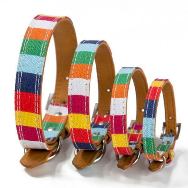 

fashion rainbow pet dog collar adjust waterproof necklace collar dog supplies