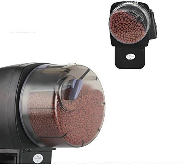 2019 Feeding Fish Af 2009d Aquarium Fish Feeders Vacations