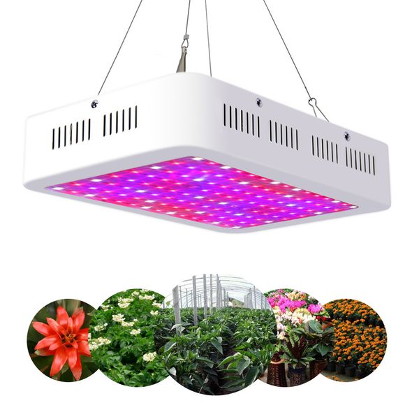 

led grow lights recommeded high cost-effective double chips full spectrum led plants grow light 300w/600w/800w/1000w/1200w/1500w/1800w/2000w