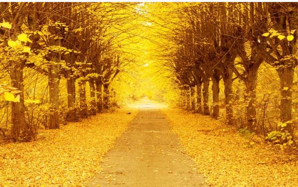 

golden autumn gold tree 3d tv background wall modern living room wallpapers