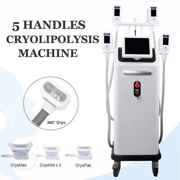 

criolipolisis slimming machine cryotherapy fat e cryolipolysis cavitation rf skin tightening treatment body contouring machines