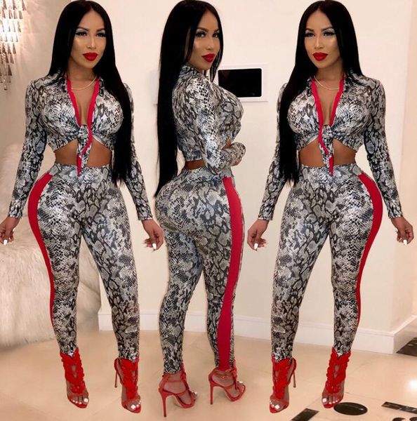 

women hooded tracksuit spring leisure suit long sleeve snake print jacket coat and pant two piece sets women sweat suits, Gray