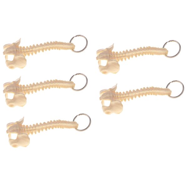 

mini handcrafted human spine skeleton model keychain teaching aid 5x