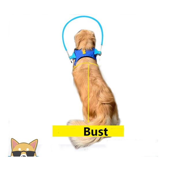

pet safe halo harness for blind dogs soft protective vest ring for dogs, prevent collide wall dog supplies pet products