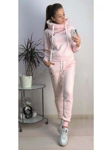 

women suits hoodies pants 2pcs tracksuits clothing sets winter thick sports, Gray