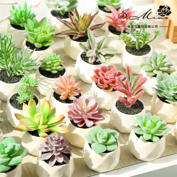 

one set potted artificial succulents plants flower arrangement accessories deskbonsai artificial flowers grass fake plants
