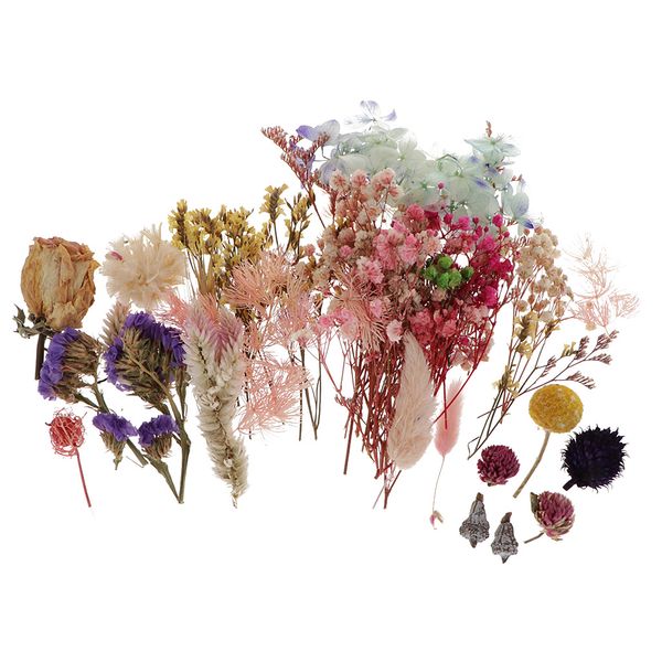 

natural dried flowers home wedding xmas decors diy scrapbooking card making