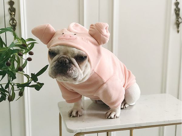 

fanshion pet pig sweater pet change clothes dog and cat clothes