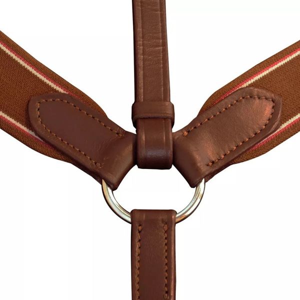 

elastic breastplate of leather martingale adjustable brown flask common tools