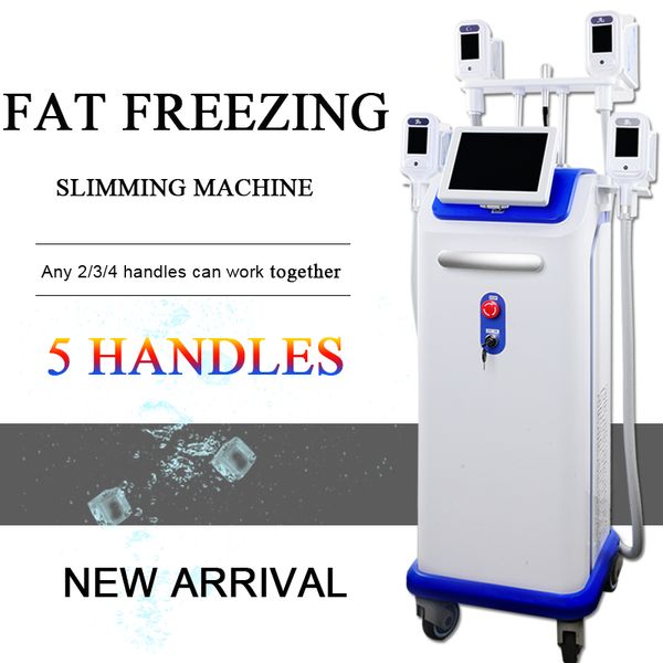 

cryolipolysis потеря массы тела удаление жира жира липосакция машина потеря веса ce cryolipolysis похудения машина