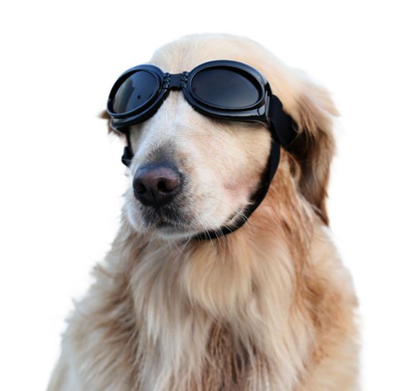Pet óculos adequados para todas as médias e grandes animais de estimação vento e proteção solar UV à prova de água, transporte DHL compra uso múltiplo