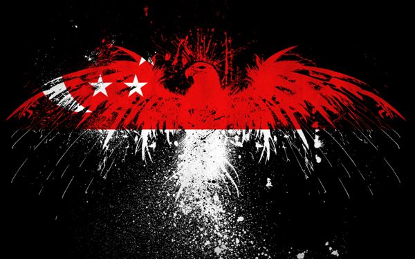 2019 Eagles Hawk Flags Usa Singapore State Flag Wallpaper Banner